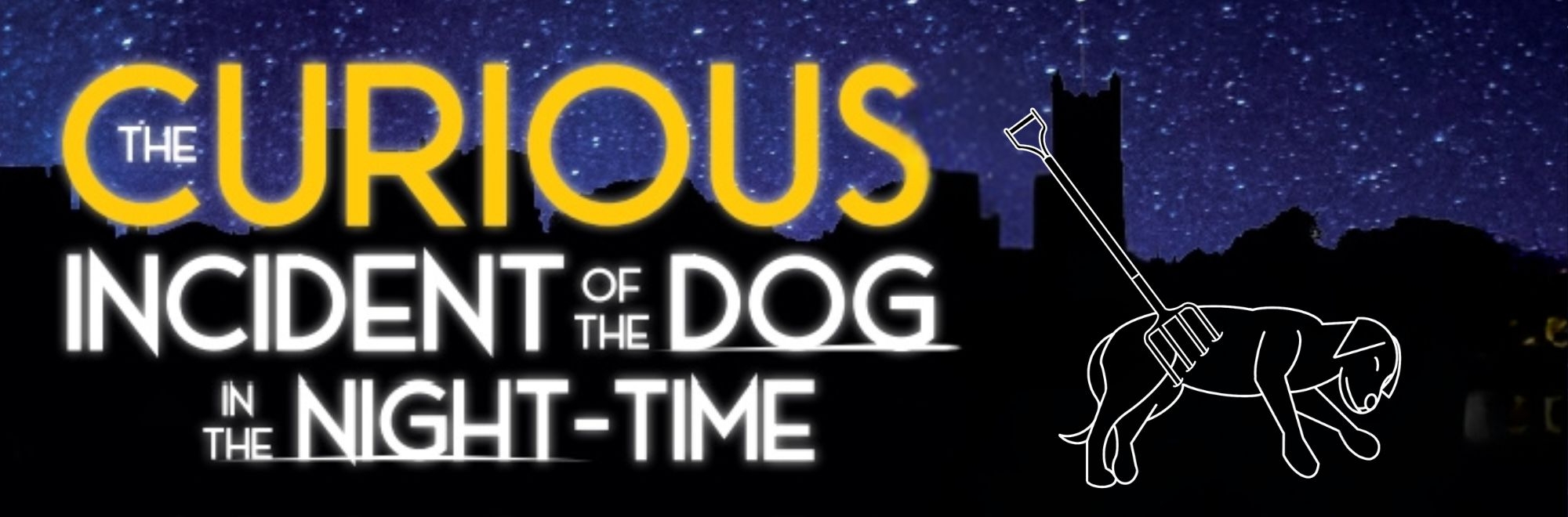 The Curious Incident of the Dog in the Night-Time